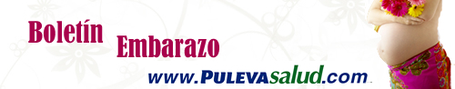 Boletín Embarazo Puleva Salud